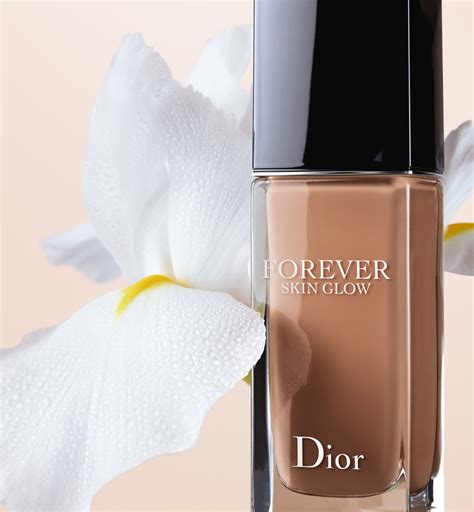 base de maquillage dior|is Dior makeup expensive.